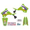  Sticker Kit Replica Team Kawasaki 1998 