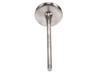 Prox Titanium Intake Valve Kx250 '25 + Kx250X '25