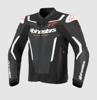 Alpinestarsjacket Gp Force V2 Black/White