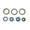 Engine Oil Seal Kit 