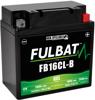 Fulbat Fb16Cl-B Gel Battery