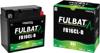 Fulbat Fb16Cl-B Gel Battery