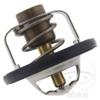 Tourmax Thermostat #17670-50F00