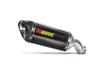 Akrapovic Slip On Carbon Muffler