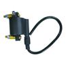 Ignition Coil Imc0018